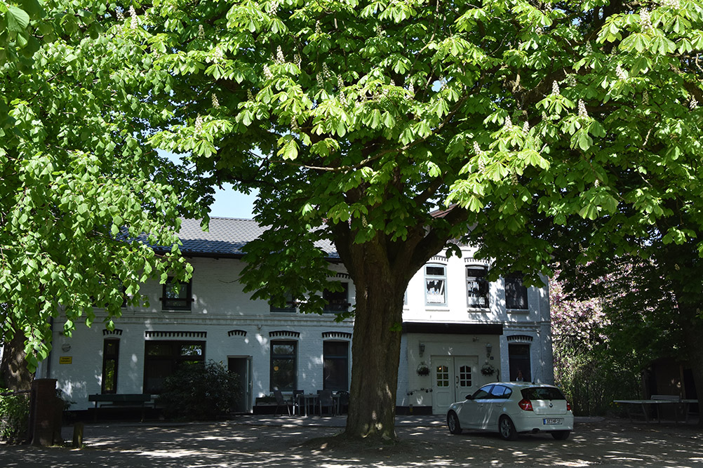Wohnheim Kastanienhof in Daldorf - Schleswig-Holstein
